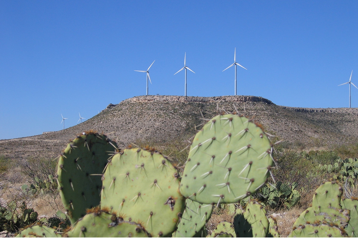 Kakteen und Windkraft in West-Texas