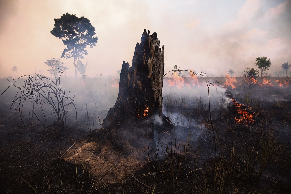 Illegale Brandrodungen im Amazonasgebiet