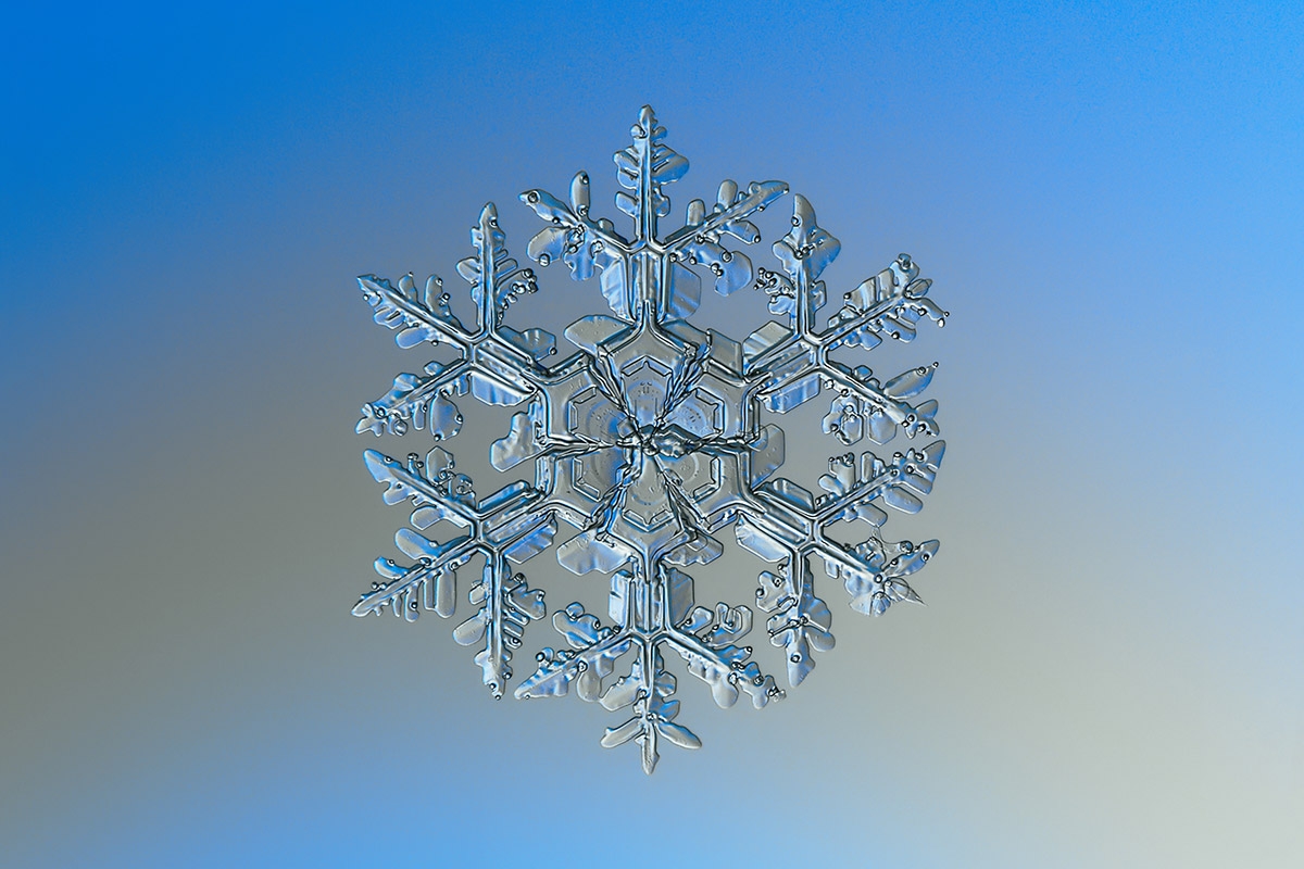 Makrofotografie einer Schneeflocke
