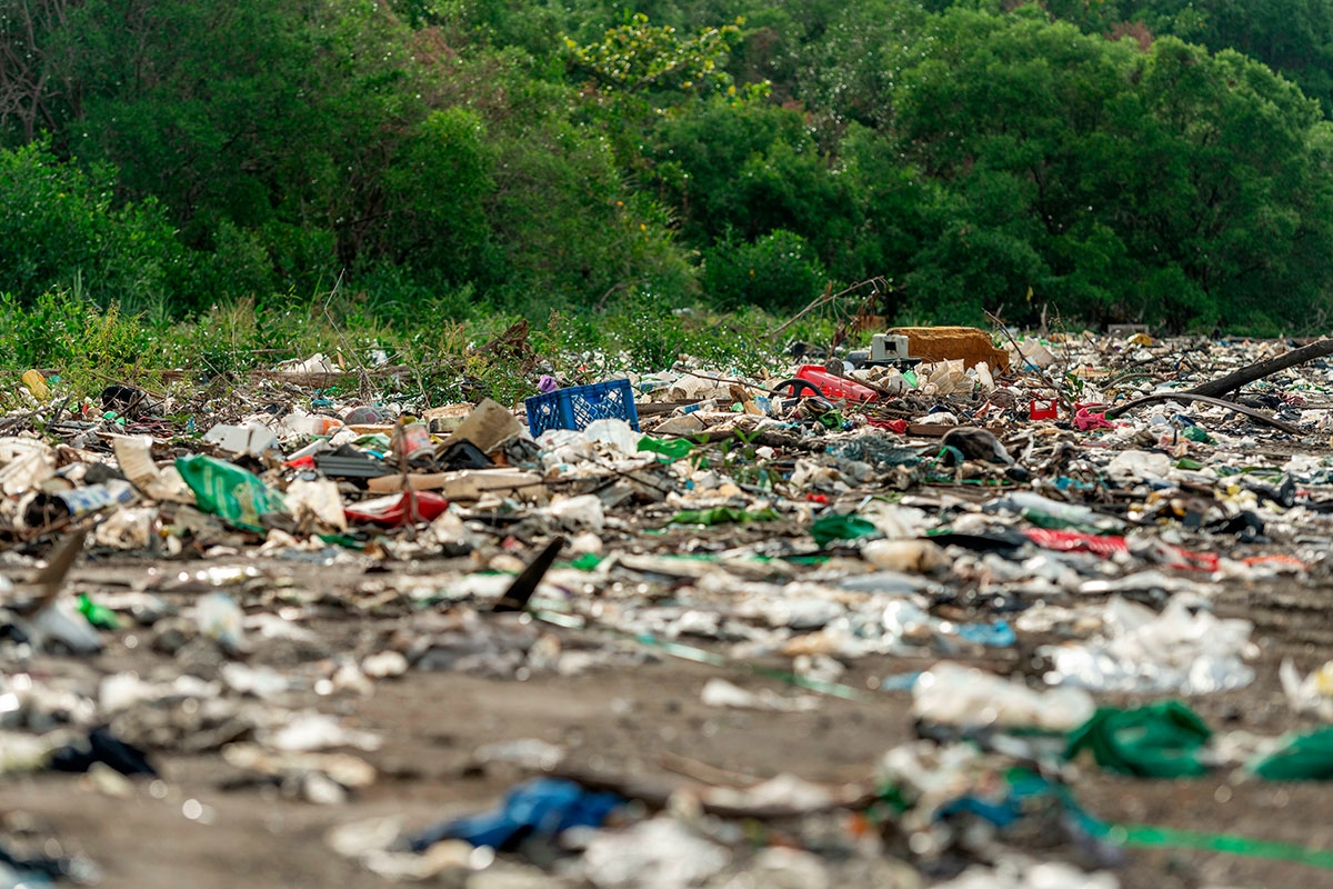 Eine Landschaft voller Müll