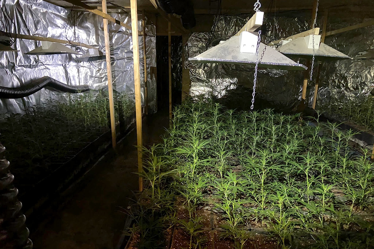 Marihuana-Plantage, die am 28. März in Colditz gefunden wurde