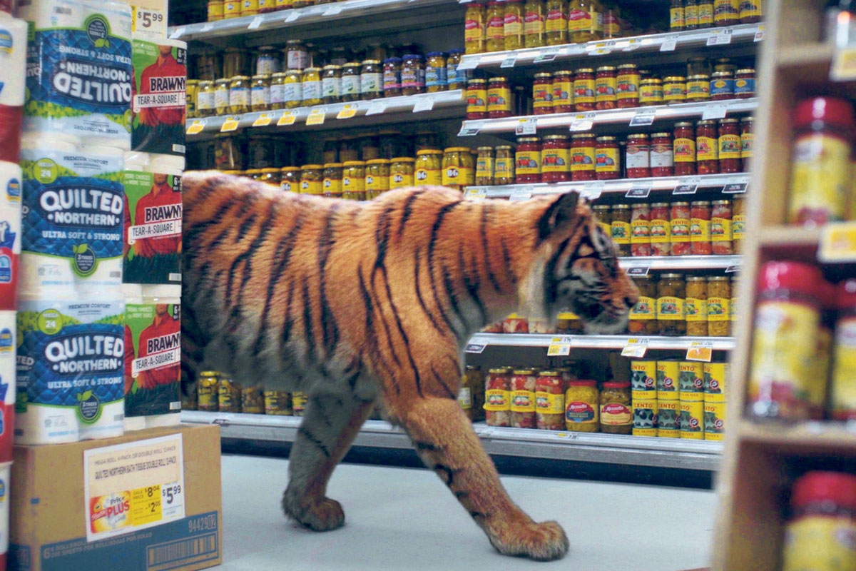 Adorno rezitierender Tiger im Supermarkt