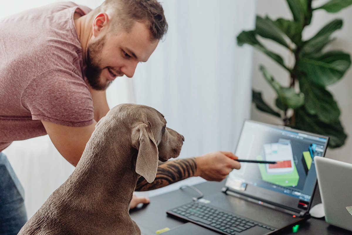 Hunde sollen die Zeit im Büro angenehmer machen