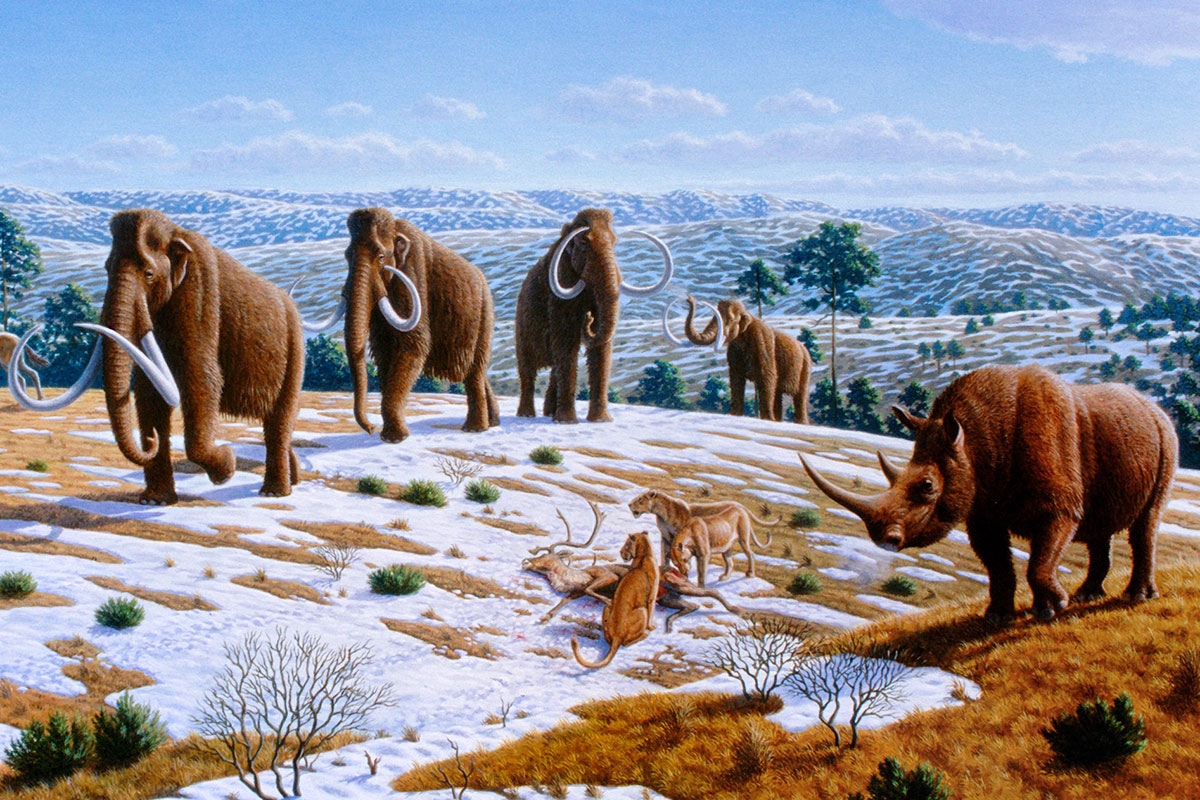 Wollmammuts und Wollnashörner sowie Höhlenlöwen im Pleistozän