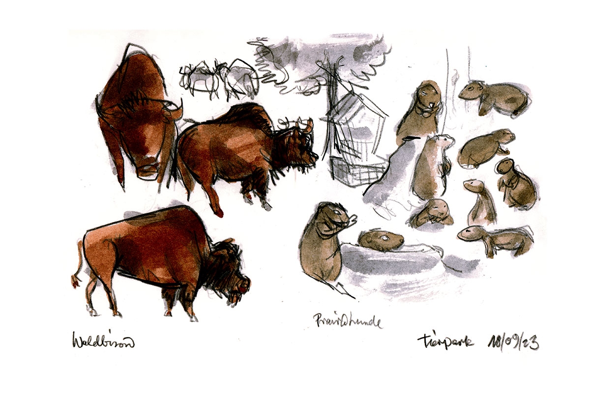 Bisons und Präriehunde im Tierpark