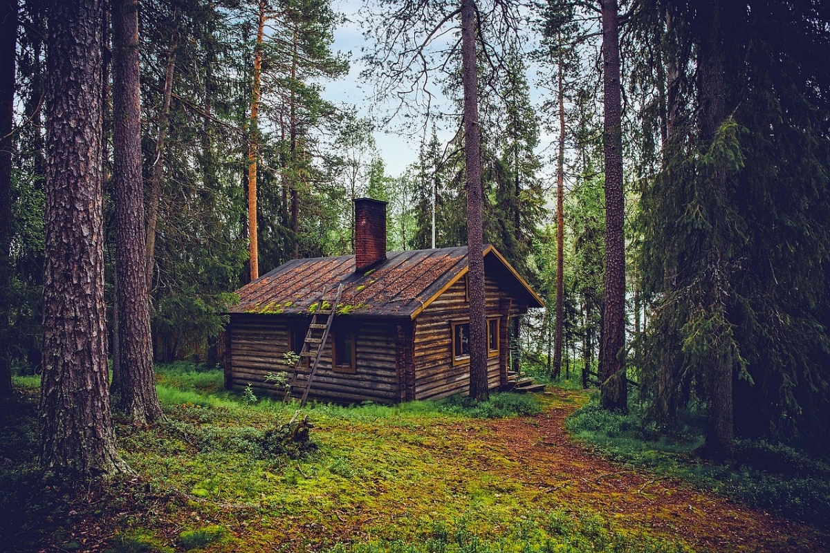 Einsame Hütte im Wald ohne Smartphone