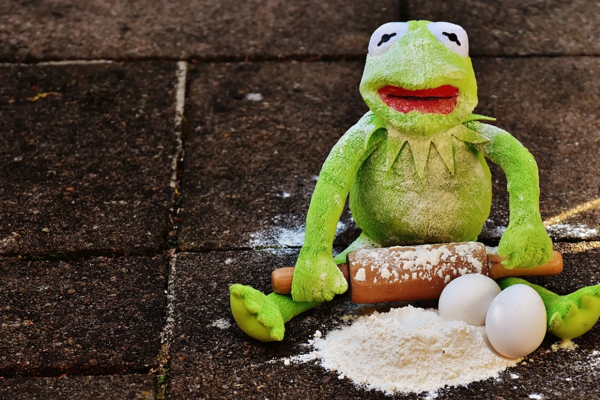 Nich die Kolumnistin: Koks-Kermit kämpft aber ebenfalls mit kapriziösen Zutaten