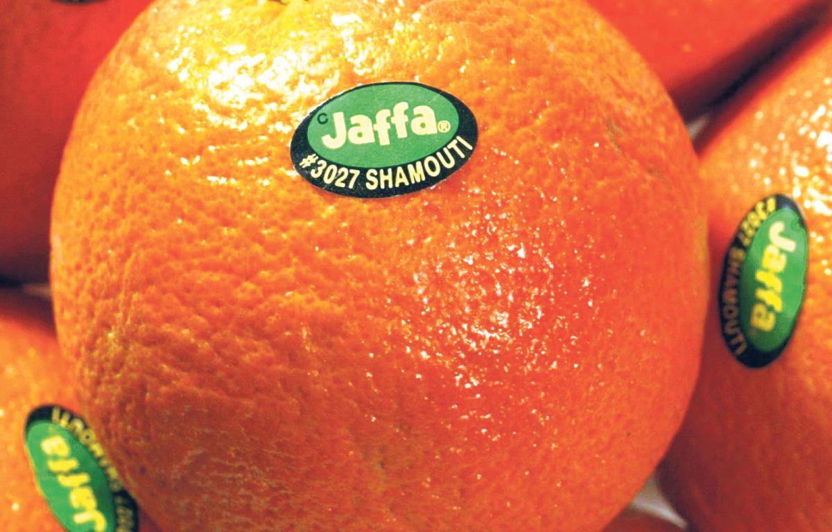 Jaffa-Orangen