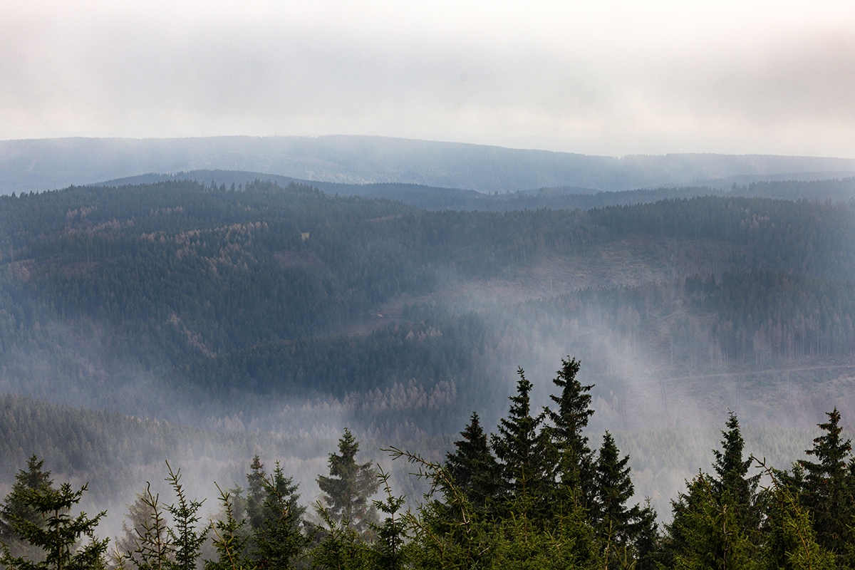 Thüringer Wald im Nebel
