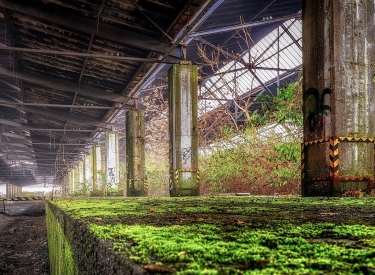 Stillgelegter Bahnhof der mit Pflanzen und Moos bewachsen ist