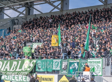 Für manche spannender als die EM. Die Fans des BSG Chemie Leipzig beim Spiel gegen den Chemnitzer FC im Februar