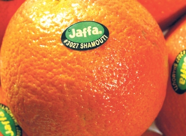 Jaffa-Orangen