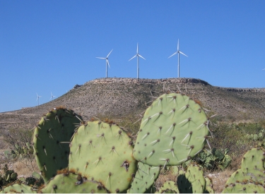 Kakteen und Windkraft in West-Texas