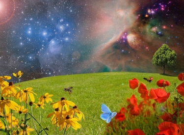 Bildmontage: Grüne Wiese, Blumen, Baum, das Universum