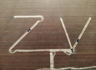 Buchstaben Z und V in einem Kornfeld