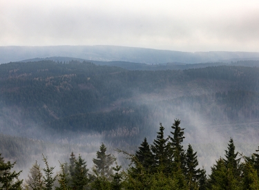 Thüringer Wald im Nebel