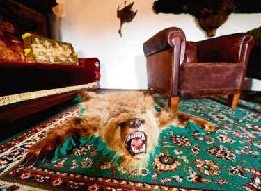 Im Herrenhaus des Freilichtmuseums in der slowakischen Region Liptov dient ein Problembär als Teppich