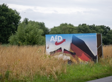 Ein Wahlplakat der AfD Ende Juli in einer Wiese bei Bitterfeld